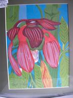 zeefdrukken kleur - Frank Liefooghe, Antiek en Kunst, Kunst | Litho's en Zeefdrukken, Ophalen