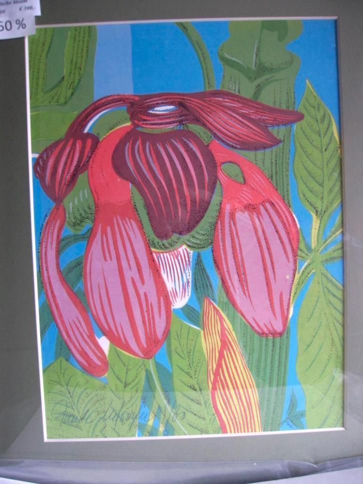 zeefdrukken kleur - Frank Liefooghe, Antiquités & Art, Art | Lithographies & Sérigraphies, Enlèvement