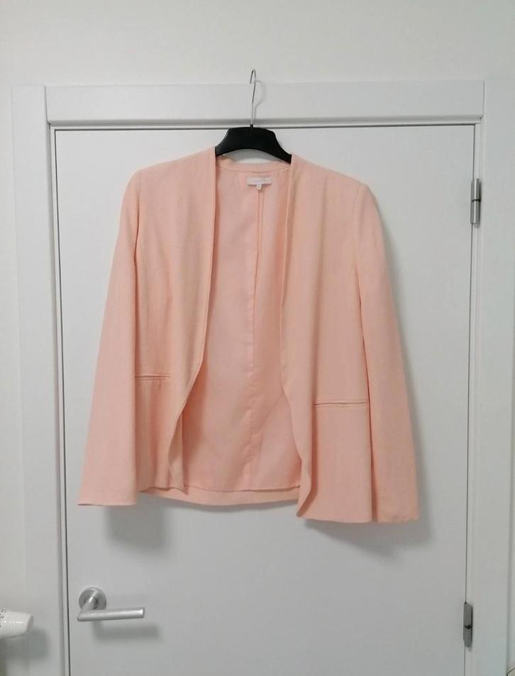 Zalm kleur blazer van Bel & Bo . Mt 44, Kleding | Dames, Jasjes, Kostuums en Pakken, Nieuw, Maat 42/44 (L), Ophalen of Verzenden