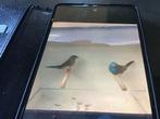Blauwkop blauwfazant mutatie bruin en bruinborst riietvink, Dieren en Toebehoren, Tropenvogel, Geringd