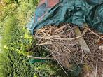 Gratis brandhout, Ophalen