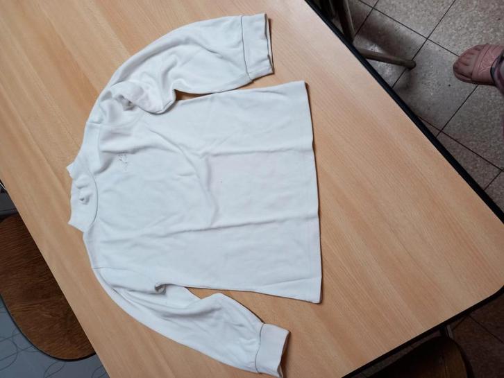 Sous pull 140, Kinderen en Baby's, Kinderkleding | Maat 140, Gebruikt, Ophalen of Verzenden