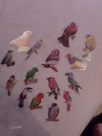 Plastieken doorschijnende figuren vogels, Verzenden