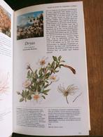Gids voor geneeskrachtige planten van Readers Digest, Boeken, Ophalen of Verzenden, Readers Digest, Zo goed als nieuw