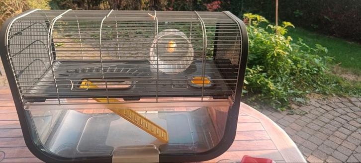 Hamster kooi en toebehoren te koop, Dieren en Toebehoren, Knaagdieren en Konijnen | Hokken en Kooien, Kooi, Hamster, Ophalen