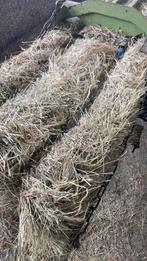 Hooi in kleine balen, Dieren en Toebehoren, Ophalen