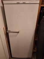 Vriezer Miele, Elektronische apparatuur, Vriezers en Diepvrieskisten, Gebruikt, 140 tot 160 cm, Ophalen, Vrieskast