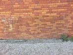 Glazen Binnendeur, Tuin en Terras, Schuttingen, Ophalen, Zo goed als nieuw, Glas