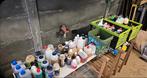 Lot flavours en liqliquid, Watersport en Boten, Hengelsport | Karpervissen, Ophalen