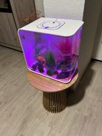 Biorb aquarium met afstandsbediening, Dieren en Toebehoren, Ophalen