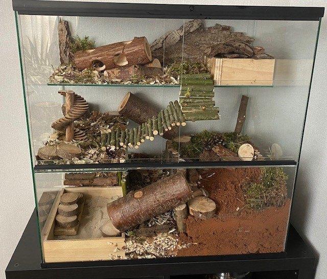 Gerbil terrarium 60x40x60 ingericht met hamsterscaping, Animaux & Accessoires, Rongeurs & Lapins | Cages & Clapiers, Neuf, Niche
