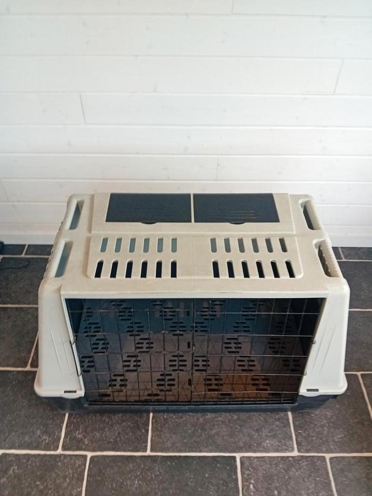 Hondenbench / Dierenvervoerbox / Ferplast, Animaux & Accessoires, Maisons pour chiens, Enlèvement