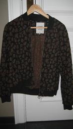 Vestje van CKS, Kleding | Dames, CKS, Ophalen of Verzenden, Zo goed als nieuw, Maat 36 (S)