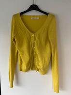 Gele gilet merk Hampton Bays maat XS/S, Geel, Ophalen of Verzenden, Maat 36 (S), Gedragen