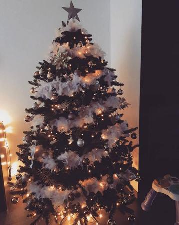 Sapin beschikbaar voor biedingen