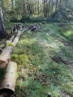 Ca 3 kuub beuk brandhout stam in Lille, Enlèvement