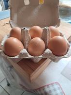 œufs frais poule en plein air, Enlèvement