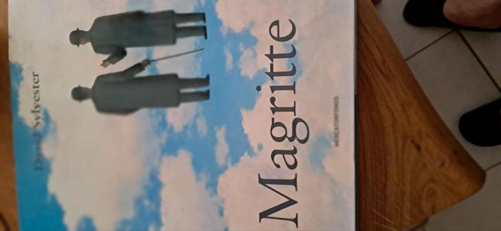 D. Sylvester - Magritte, Boeken, Overige Boeken, Zo goed als nieuw, Ophalen