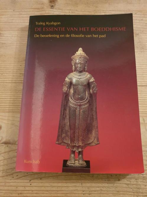 Traleg Kyabgon - De essentie van het boeddhisme GESIGNEERD, Livres, Religion & Théologie, Comme neuf, Bouddhisme, Enlèvement ou Envoi