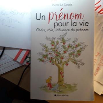 "UN prénom POUR LA VIE " Pierre Le Rouzic beschikbaar voor biedingen
