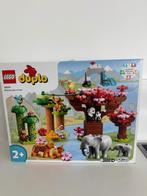 Duplo dieren uit Azië, Kinderen en Baby's, Ophalen, Zo goed als nieuw, Complete set, Duplo