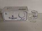 Proefglaasjes Ciney 12,5 cl - 6 stuks, Verzamelen, Biermerken, Ophalen of Verzenden, Nieuw