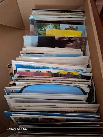 prentbriefkaarten beschreven  beschikbaar voor biedingen