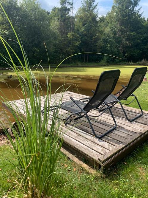 Chalet met vijver te Eksel, Immo, Gronden en Bouwgronden, 1500 m² of meer, Verkoop zonder makelaar