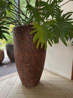 hoge bloempot houtstructuur, Tuin en Terras, Bloempotten, Ophalen, Overige materialen, Gebruikt, 40 cm of meer