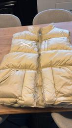 Scapa bodywarmer, Ophalen of Verzenden, Gedragen, Maat 46/48 (XL) of groter, Beige