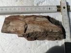 250 gram zware fossiel hout versteend Russieres Ch dl Camier, Ophalen of Verzenden, Fossiel
