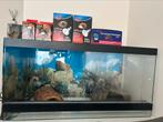 Mooi terrarium, Dieren en Toebehoren, Ophalen, Zo goed als nieuw