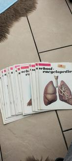 School-encyclopedie, Ophalen of Verzenden