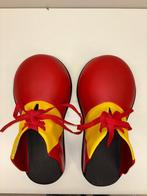 XL Reuzen Clownsschoenen in Polyester – Handgemaakt, Ophalen of Verzenden, Gebruikt, Feestartikel