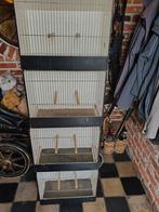 Tekoop ,4 tot kooien van 50 cm, Dieren en Toebehoren, Ophalen, Zo goed als nieuw