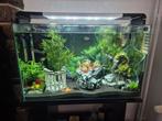 Aquarium met vissen L74xH45xD36, Dieren en Toebehoren, Ophalen, Zo goed als nieuw