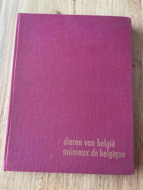 Dieren van België FORT dierenplaatjes boek, Boeken, Prentenboeken en Plaatjesalbums, Zo goed als nieuw, Ophalen
