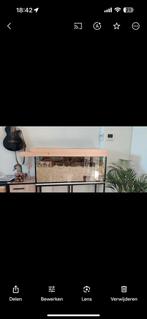 Terrarium Hamster aquarium 1m20 +t accessoires, Animaux & Accessoires, Comme neuf, Enlèvement, Hamster