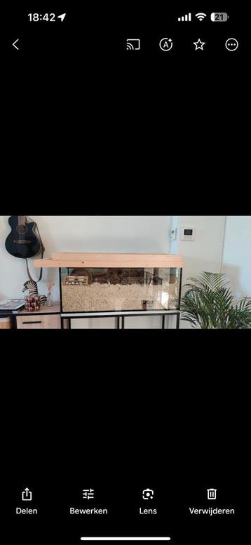 Terrarium Hamster aquarium 1m20 +t accessoires