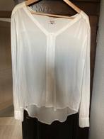 Dames hemd ecru Tommy Hilfiger nooit gedragen maat L voor 5, Tommy hilfiger, Autres couleurs, Enlèvement, Taille 42/44 (L)