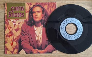 Curtis Stigers - I Wonder Why beschikbaar voor biedingen