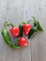 Peperzaadjes, Tuin en Terras, Ophalen of Verzenden