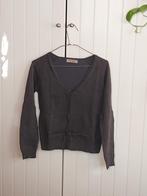 Gilet boutonné gris foncé col v, Gris, Enlèvement, Porté, Zara