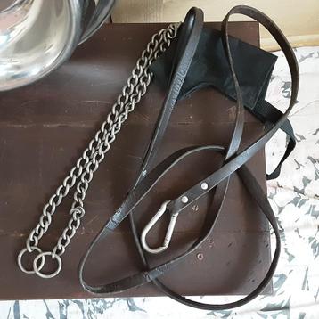Grote metalen halsband met lederen leiband + GRATIS toebehor beschikbaar voor biedingen
