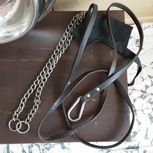 Grote metalen halsband met lederen leiband + GRATIS toebehor, Dieren en Toebehoren, Hondenriemen, Gebruikt, Hondenriem, Ophalen of Verzenden