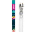 T8 HO UVC Lamp, 900mm, 55 Watt Arcadia TL-buis licht lamp, Ophalen of Verzenden, Nieuw, 30 tot 60 watt