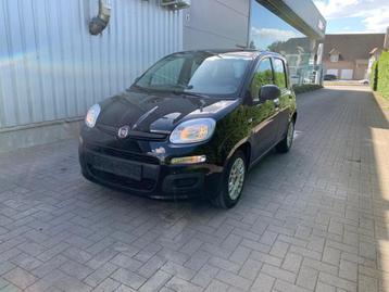 Fiat Panda 1.0 MHEV URBAN (bj 2021) beschikbaar voor biedingen