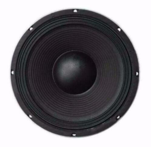 25 Cm Bass Speaker 300 Watt 8 Ohm [L041B-ELL], Audio, Tv en Foto, Luidsprekerboxen, Nieuw, Overige typen, Ophalen of Verzenden
