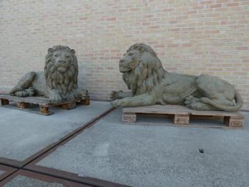 Bronzen koppel liggende leeuwen aan ongeziene opruimprijs !!