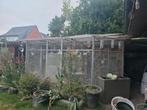 Voliere, Dieren en Toebehoren, Ophalen, Zo goed als nieuw, Aluminium, Volière